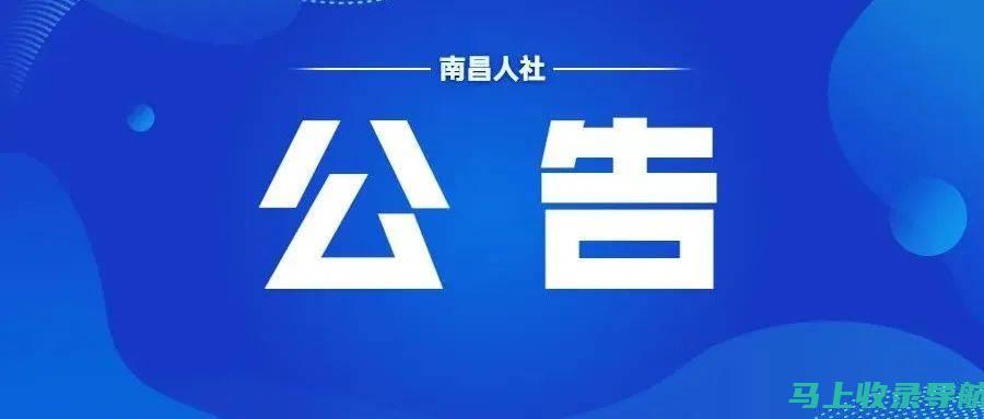 SEO查询入门指南：探索搜索引擎优化的世界